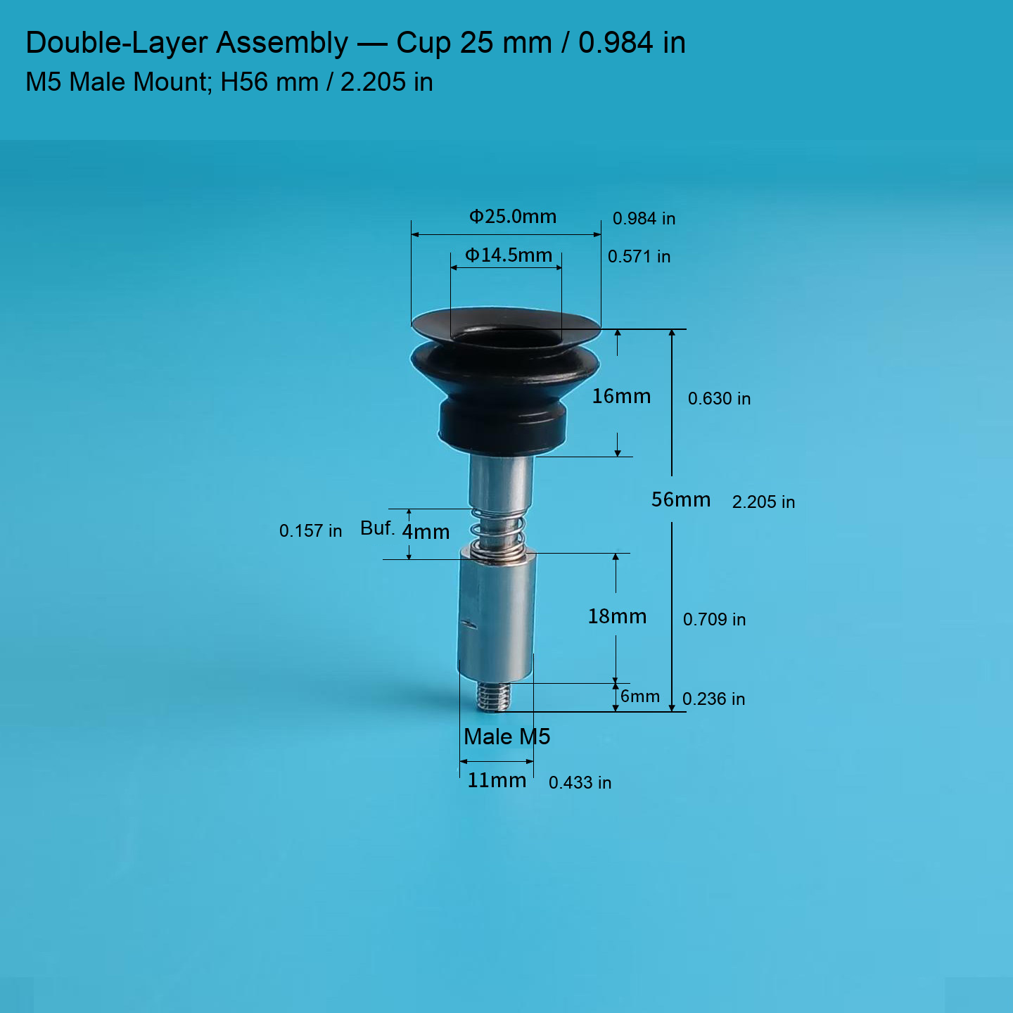 Double-Layer M5 Assembly — Cup 25 mm / 0.984 in, H56 mm / 2.205 in