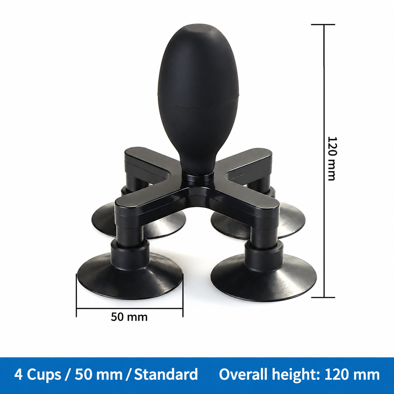 4 Cups / 50 mm / Standard