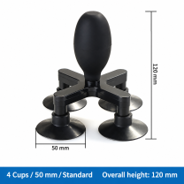 4 Cups / 50 mm / Standard