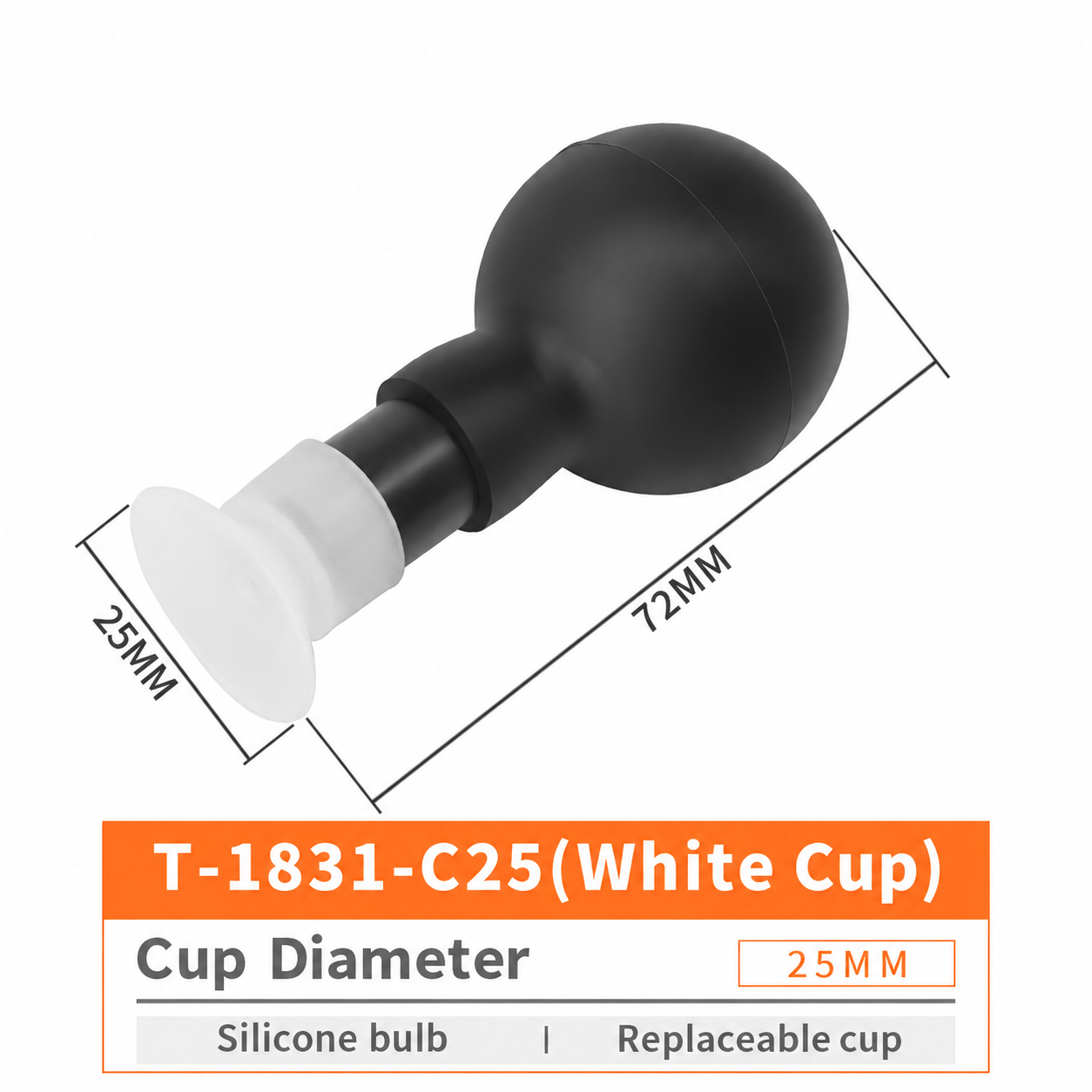 T-1831 T-1831-C25 / White Cup