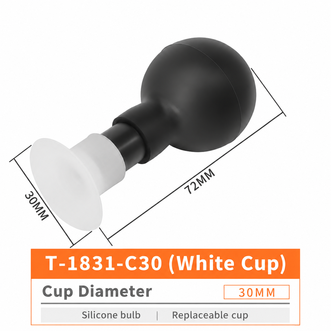 T-1831 T-1831-C30 / White Cup