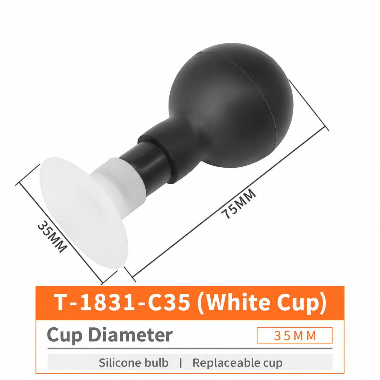 T-1831 T-1831-C35 / White Cup