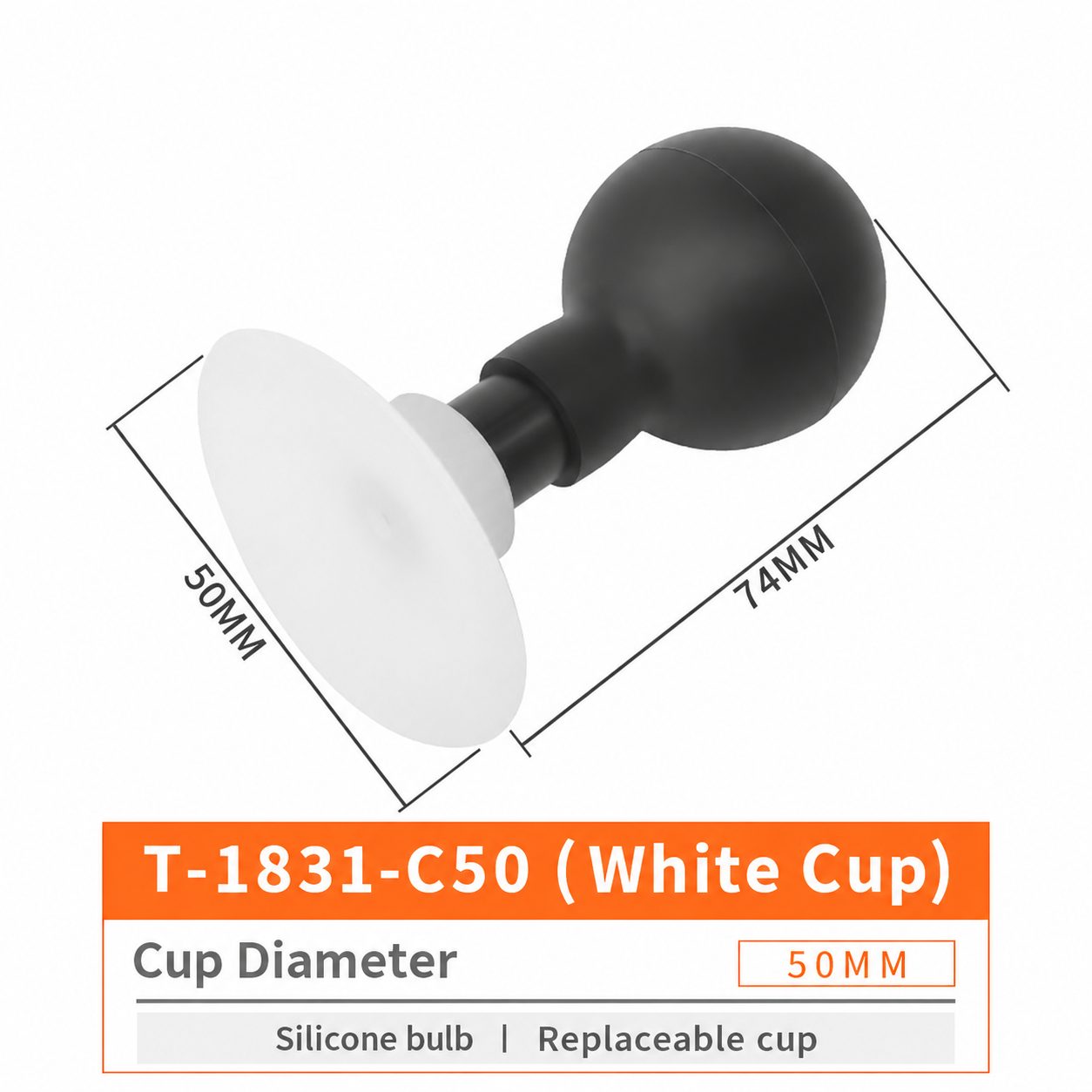 T-1831 T-1831-C50 / White Cup