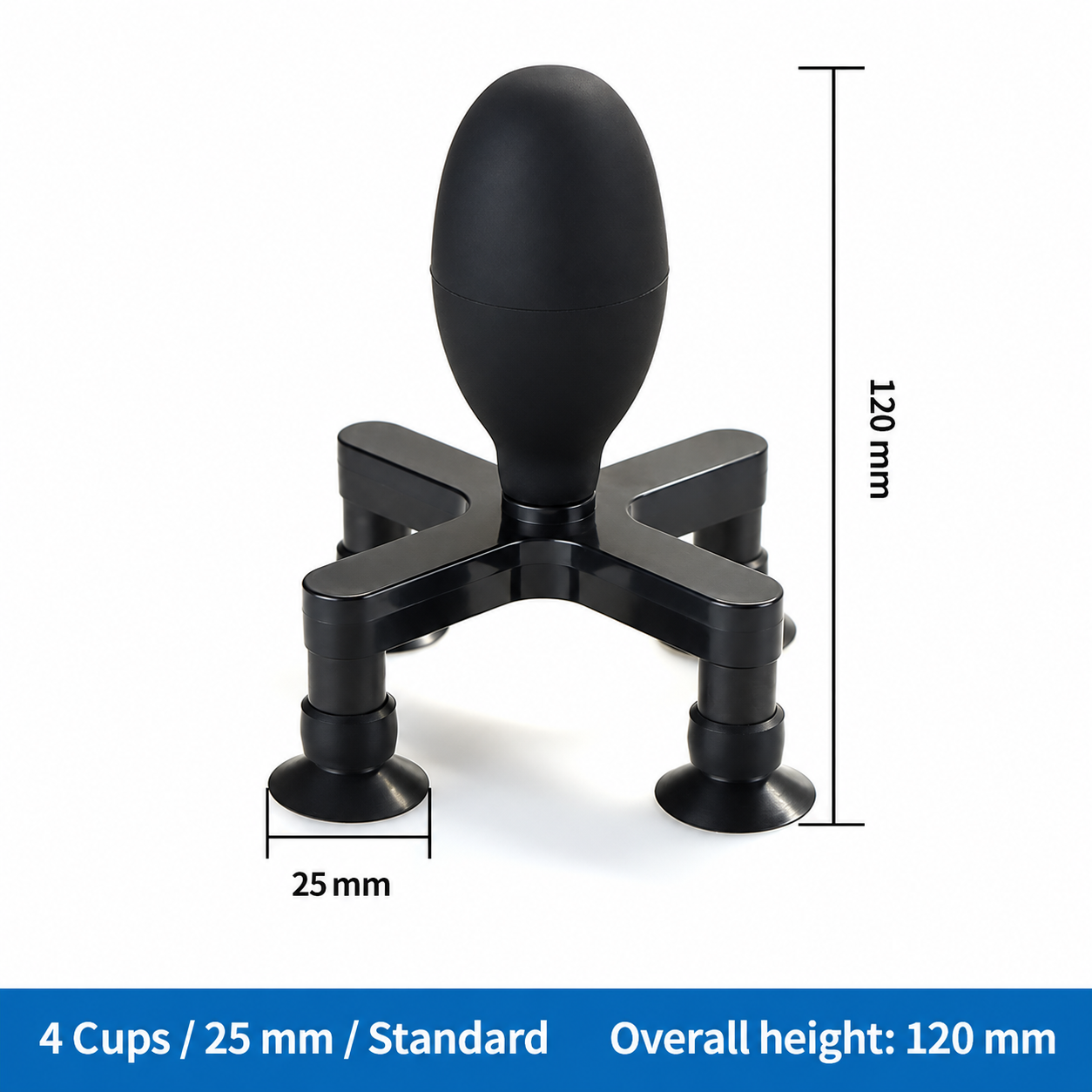 4 Cups / 25 mm / Standard