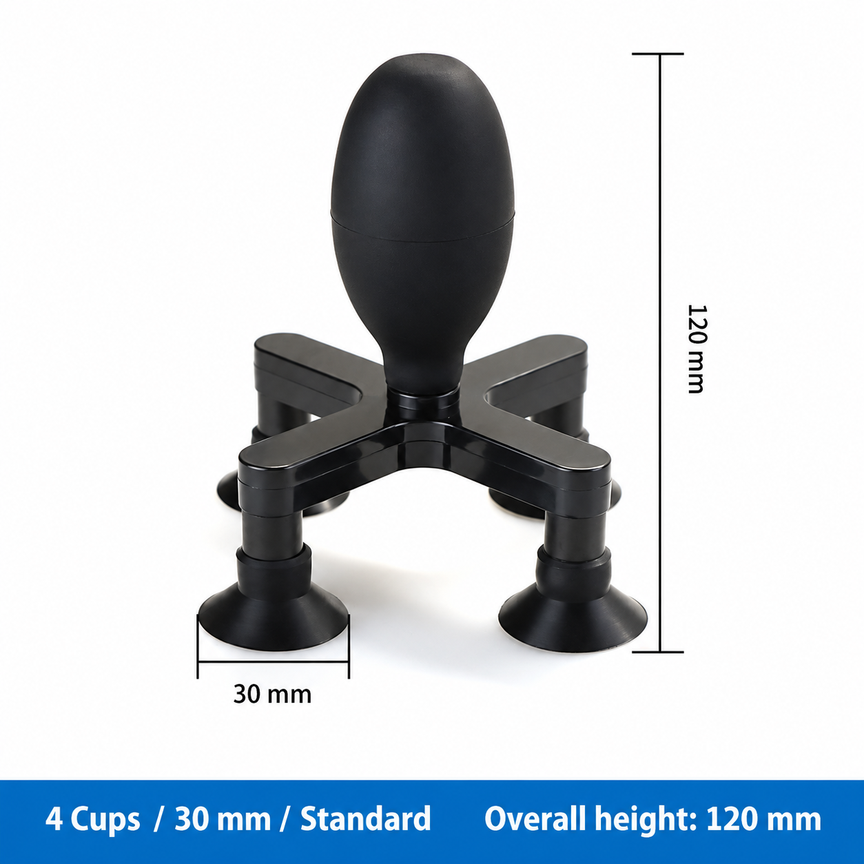 4 Cups / 30 mm / Standard