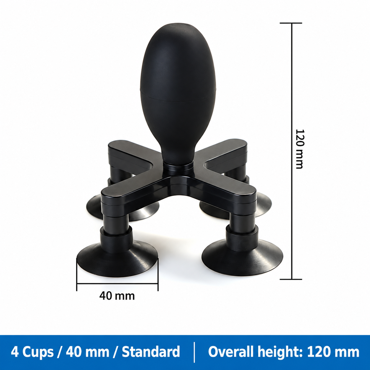 4 Cups / 40 mm / Standard