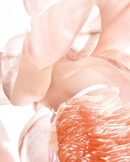 Dior J'adore Eau de Toilette