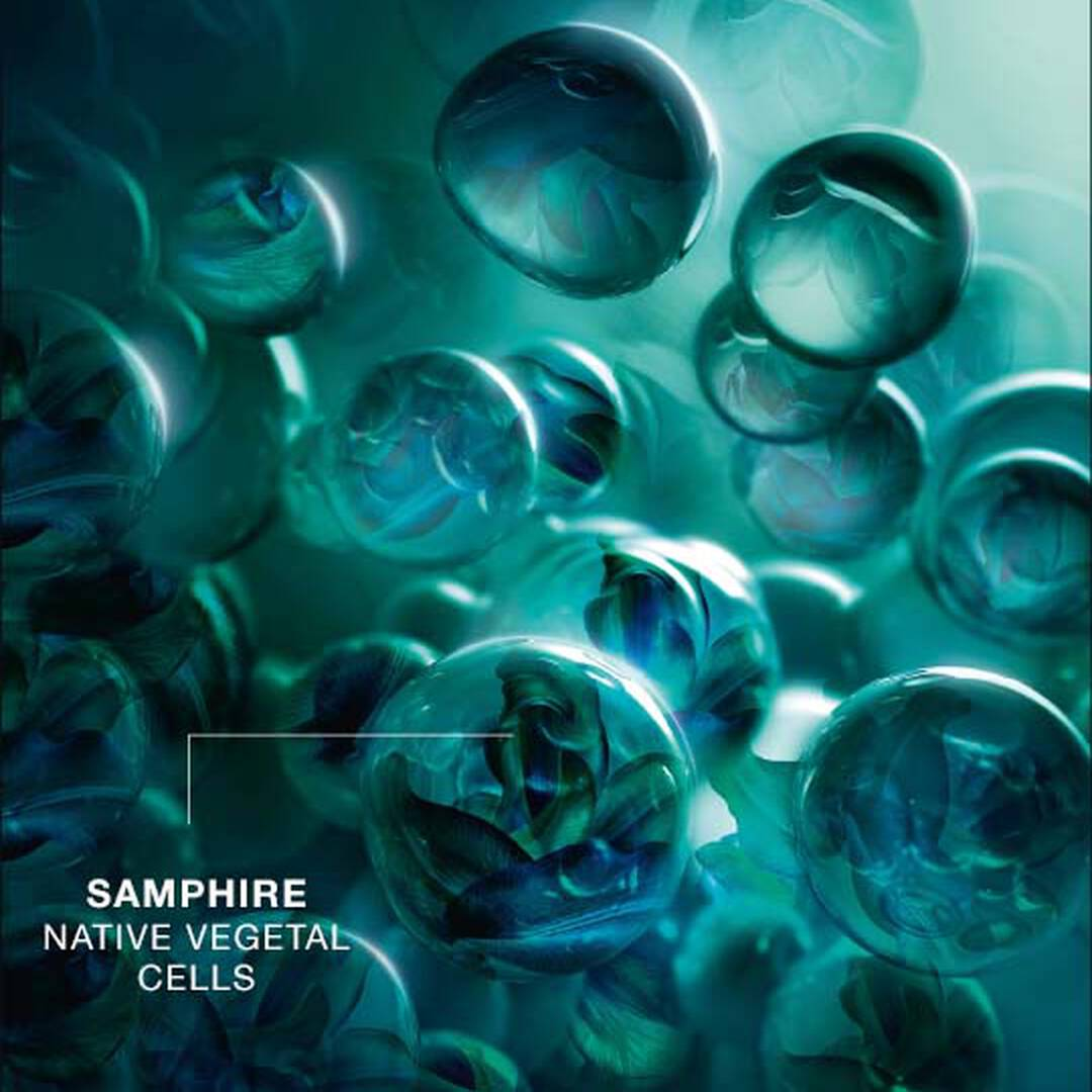 Powercell Skinmunity The Deep Regenerating Essence