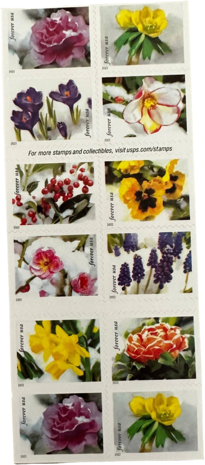 USPS Snowy Beauty Bloom Forever First Class Postage Stamps-ForeverStamps