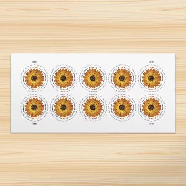 Global African Daisy International First Class Forever US Postage Stamps image 0