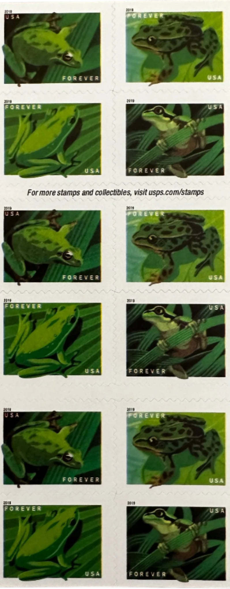 USPS Frogs Forever First Class Postage Stamps-ForeverStamps