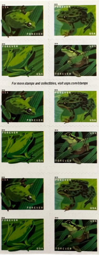 USPS Frogs Forever First Class Postage Stamps-ForeverStamps