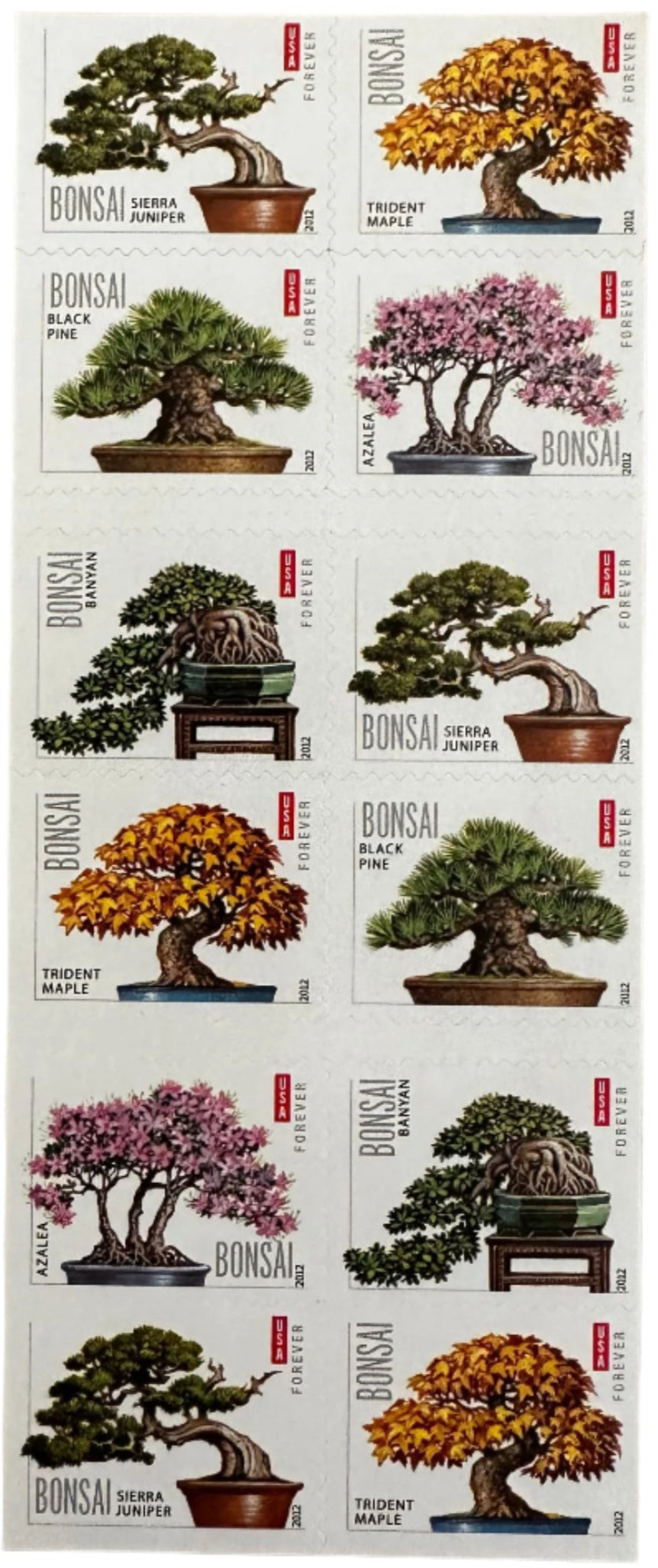 USPS Bonsai Tree Forever First Class Postage Stamps-ForeverStamps