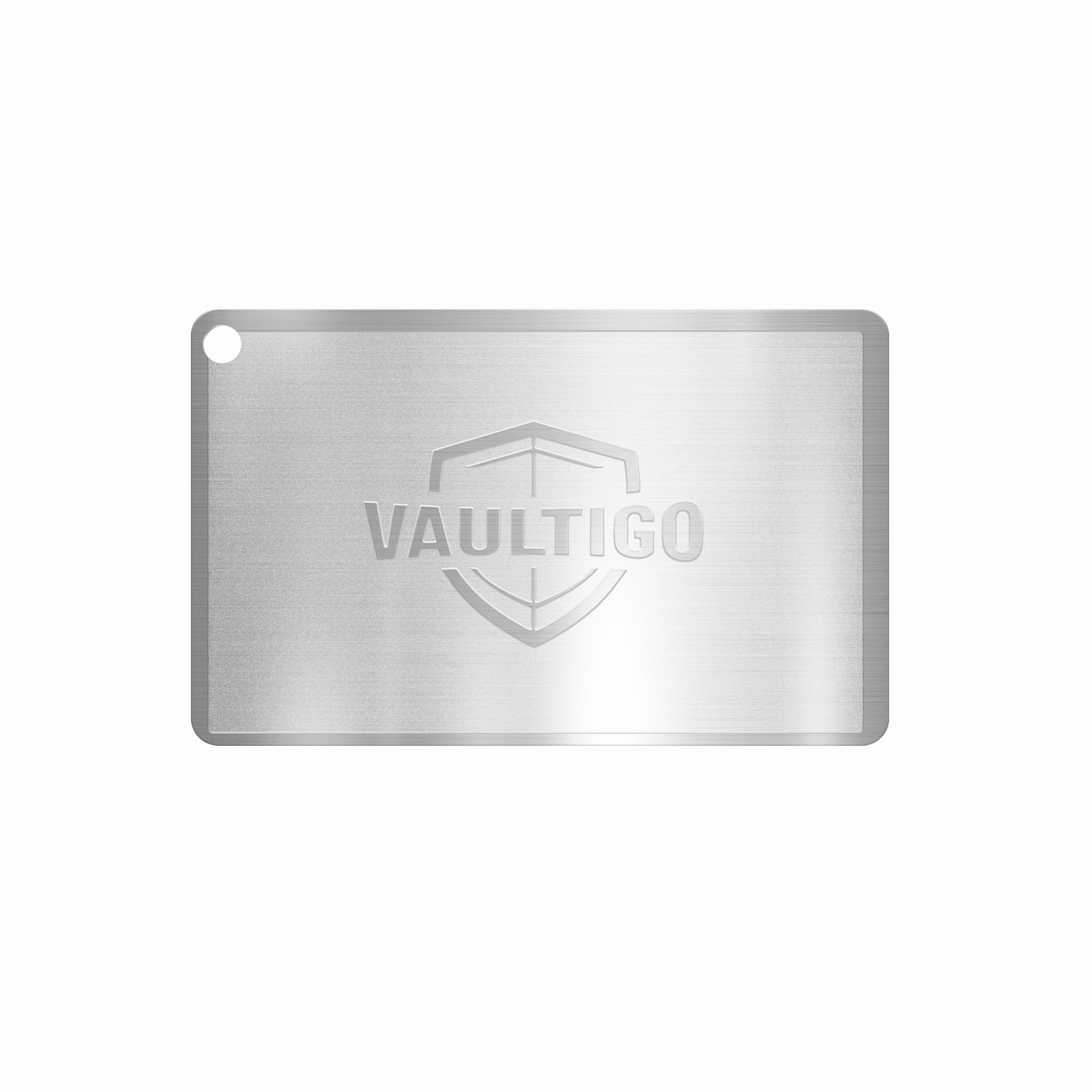 vaultigo titanium seed plate logo front flat