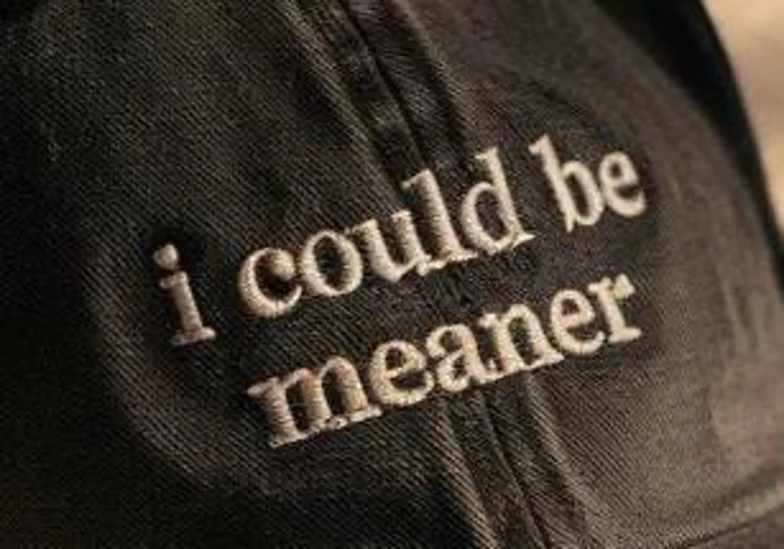 Embroidered I Could Be Meaner Baseball Hat