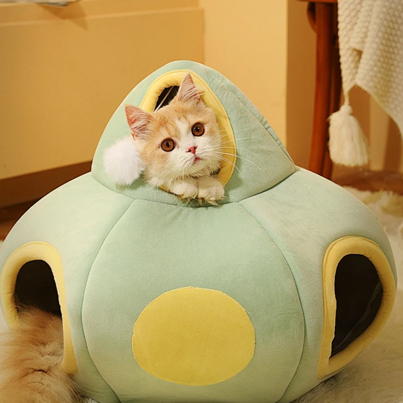 Uvedení nového produktu na trh