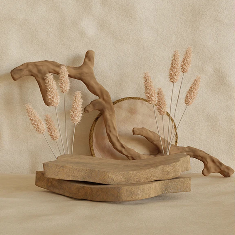 Neue Produkteinführung