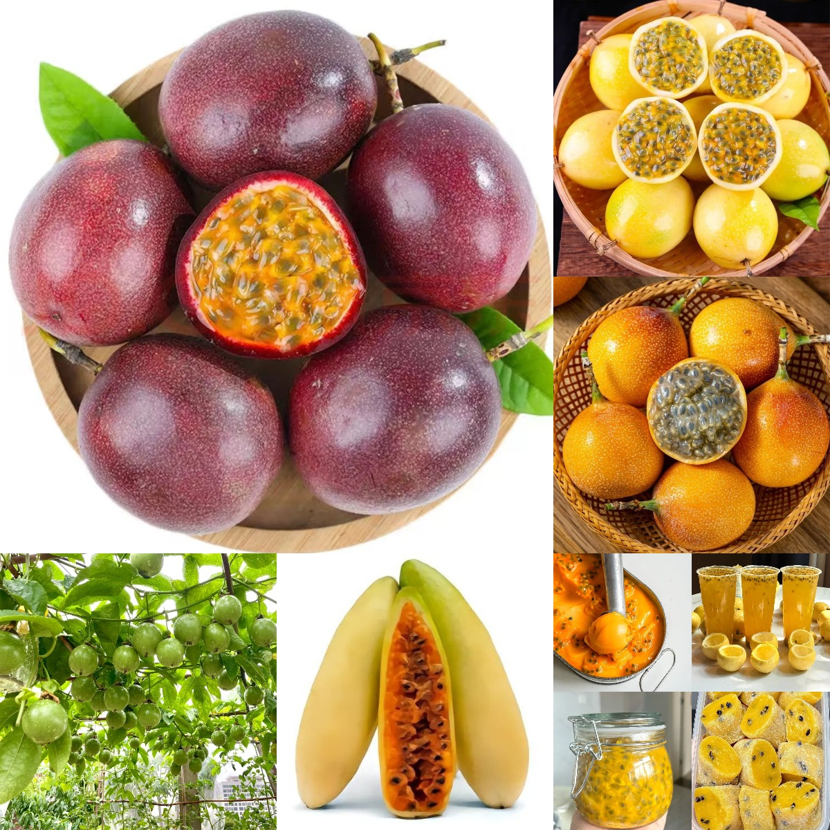 🍊🍊 Fruit de la passion colombien