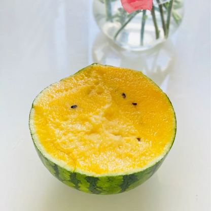 🍉 Семена от червен рубинен пъпеш – Висок добив, тънка кора, сладък и сочен, идеален за отглеждане в саксия