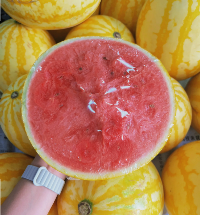 🍉 Семена от червен рубинен пъпеш – Висок добив, тънка кора, сладък и сочен, идеален за отглеждане в саксия
