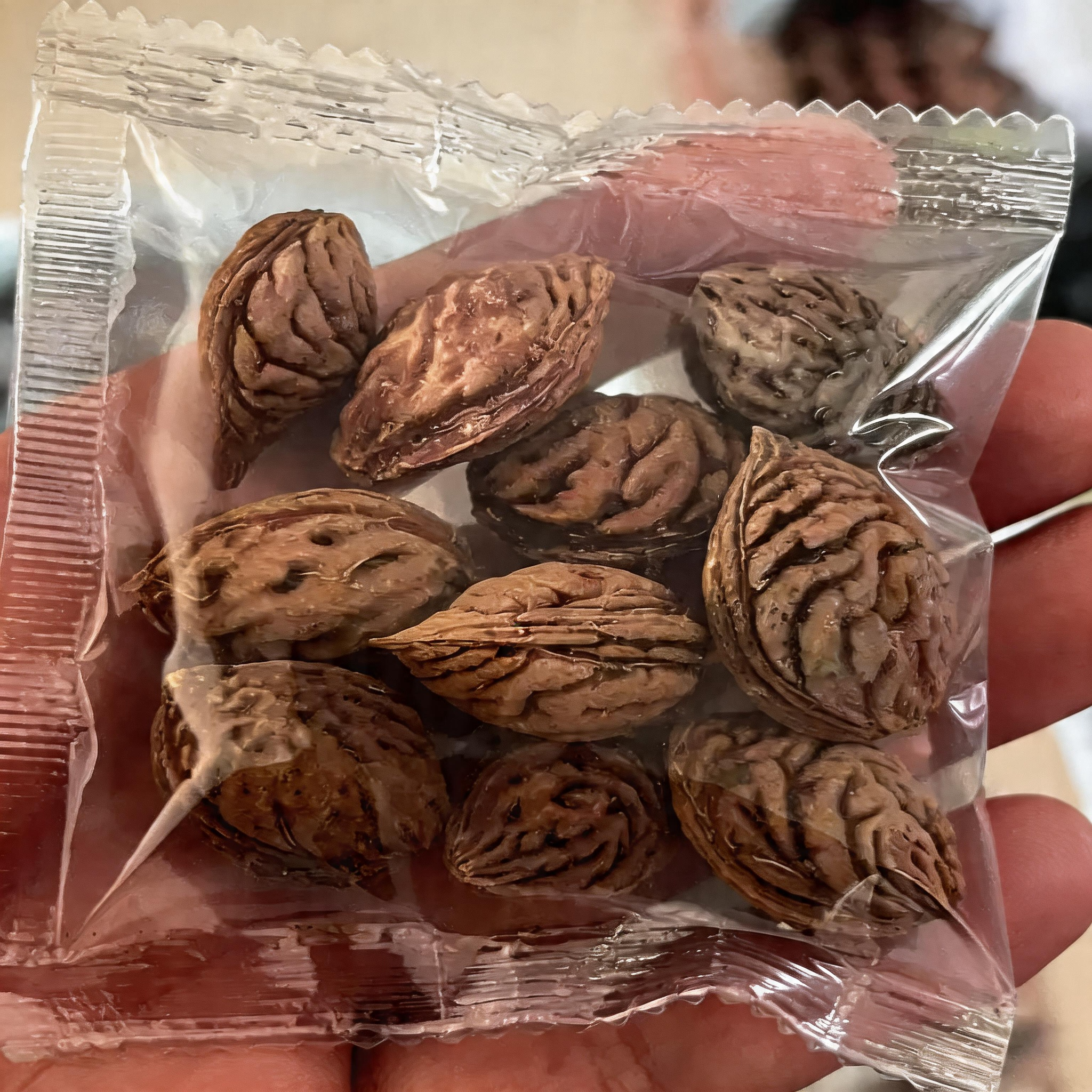 🔥 Над 65K+ ПРОДАДЕНИ! 🍑 Наследствени семена на джудже прасковено дърво "Honey Red"