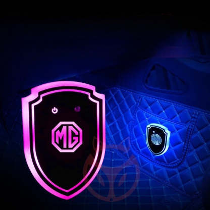 Car Interior Shield Ambient LED Lighting-Greetlamp