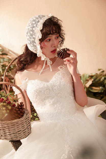 Elegant Off-Shoulder A-Line Wedding Gown with Lace Embroidery