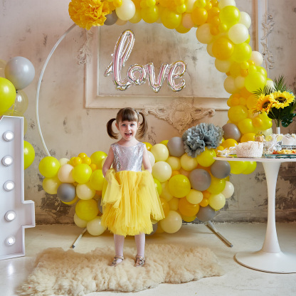 HEQUSigns Adjustable Balloon Arch Party Decoration Kits, Stainless Steel Multicolor Wedding, 9 ft