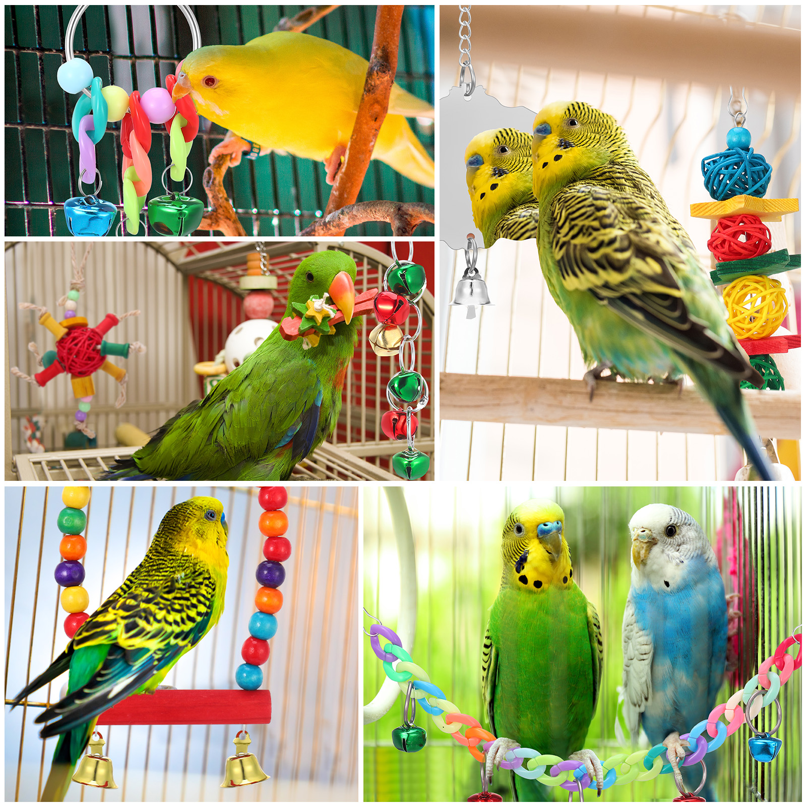 shuaien 8 PCS Bird Toys for Parakeets, Wood Parrots Toys, Budgie Toys for Bird Cage Accessories, Bird Perch Swings for Small Birds Toys, Bird Ladder Swing for Parakeets Climbing