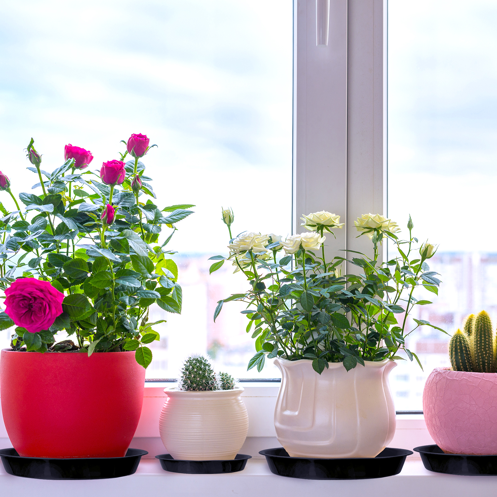 Bocaoying 12 Pcs Plastic Plant Saucer Tray, 5.5 / 6.3 / 9.5 Inch Flower Pot Plant Drip Pans with 12 Pcs Labels for Indoors Outdoors, Heavy Durable Round Plant Plate Water Catcher(Black)