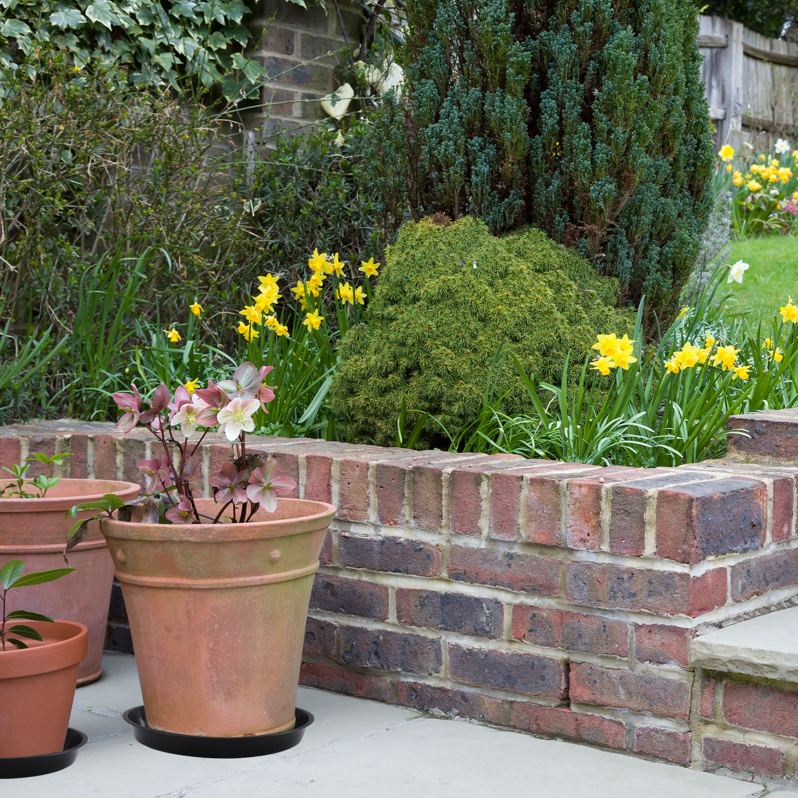 Bocaoying 10 Pack Plant Saucer Tray,12" Durable Thicker Plastic Plant Pot Trays,Flower Plant Pot Saucer,Heavy Duty Plastic Plant Saucers for Indoor Outdoor Garden