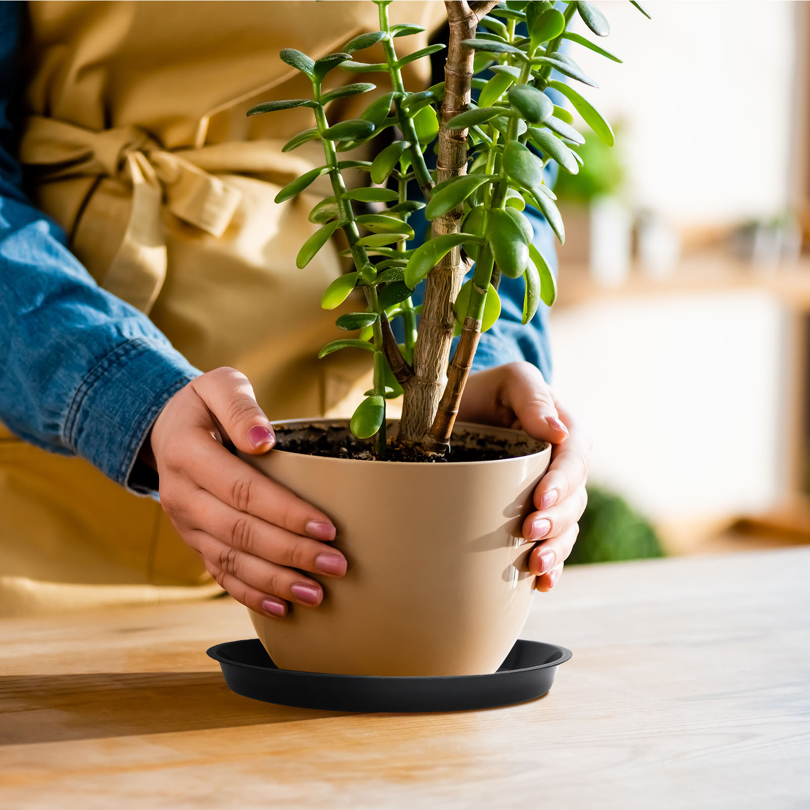 topjuju 15 Pcs Large Plant Saucers, 10/12/14 inches Plastic Plant Trays to Catch Water, Extra Large Plant Saucer with Labels, Heavy Duty Plant Drip Trays for Plant Pots Indoors Outdoors