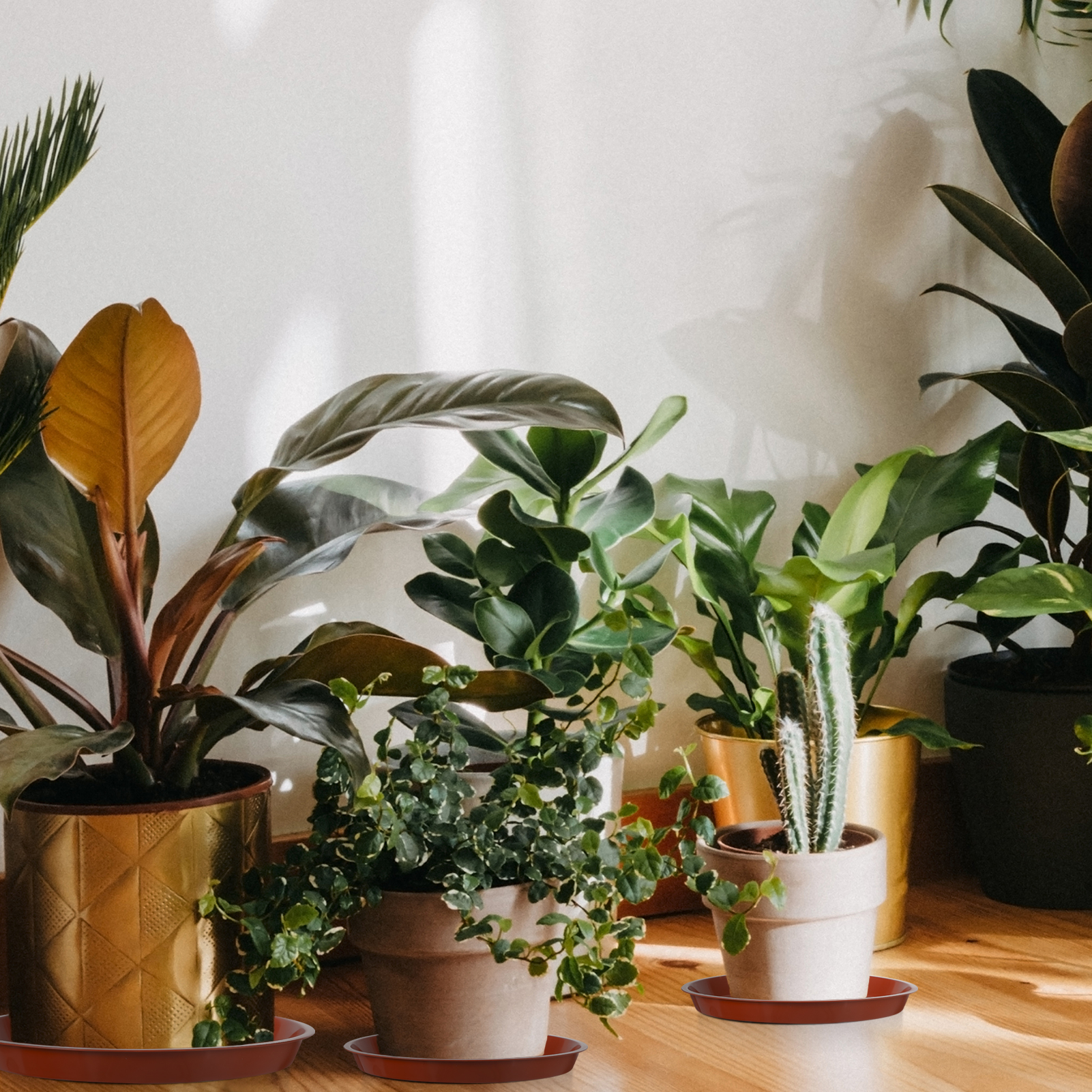 topjuju 15 Pcs Large Plant Saucers, 10/12/14 inches Plastic Plant Trays to Catch Water, Extra Large Plant Saucer with Labels, Heavy Duty Plant Drip Trays for Plant Pots Indoors Outdoors