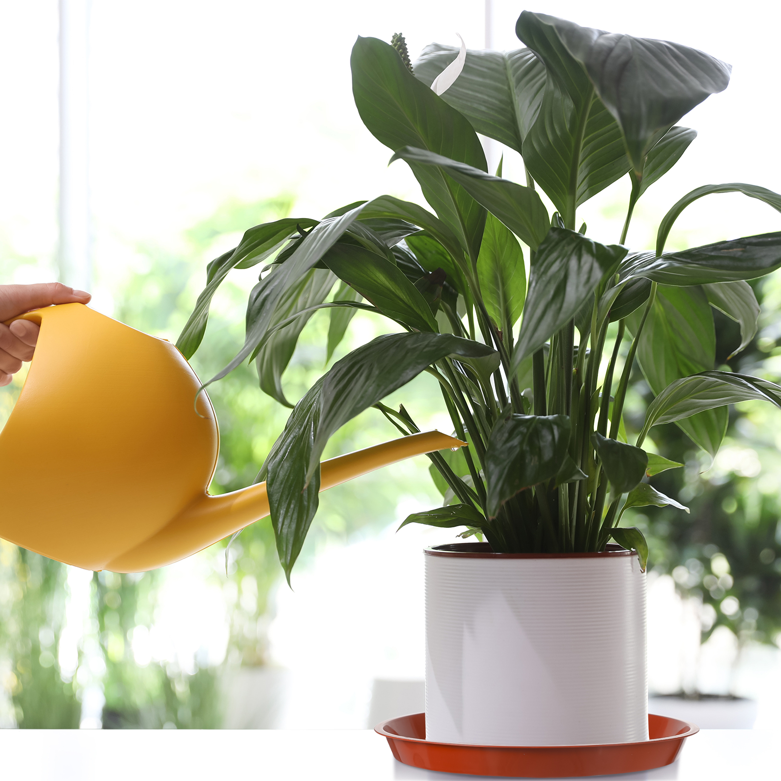 topjuju 15 Pcs Large Plant Saucers, 10/12/14 inches Plastic Plant Trays to Catch Water, Extra Large Plant Saucer with Labels, Heavy Duty Plant Drip Trays for Plant Pots Indoors Outdoors