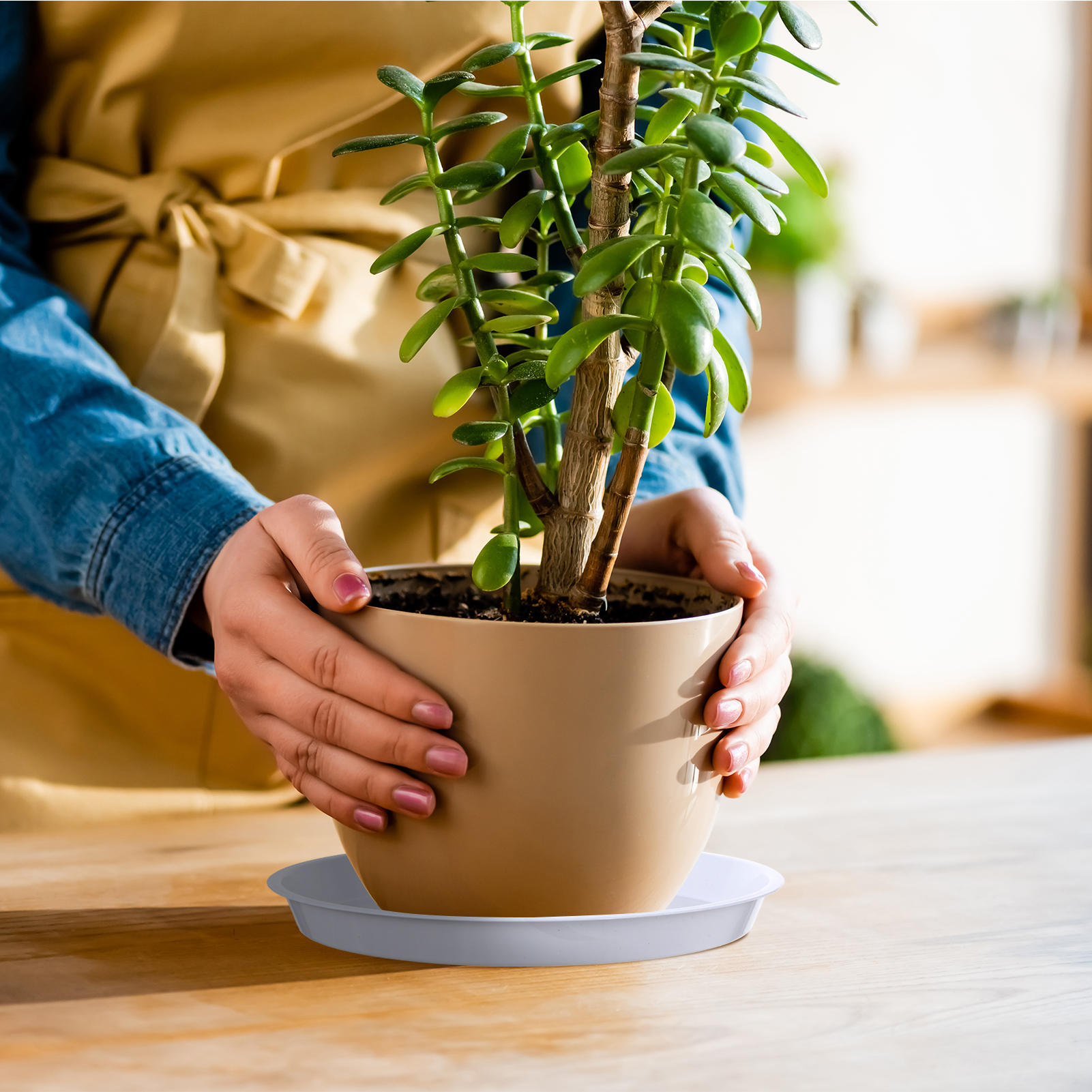 topjuju 15 Pcs Large Plant Saucers, 10/12/14 inches Plastic Plant Trays to Catch Water, Extra Large Plant Saucer with Labels, Heavy Duty Plant Drip Trays for Plant Pots Indoors Outdoors