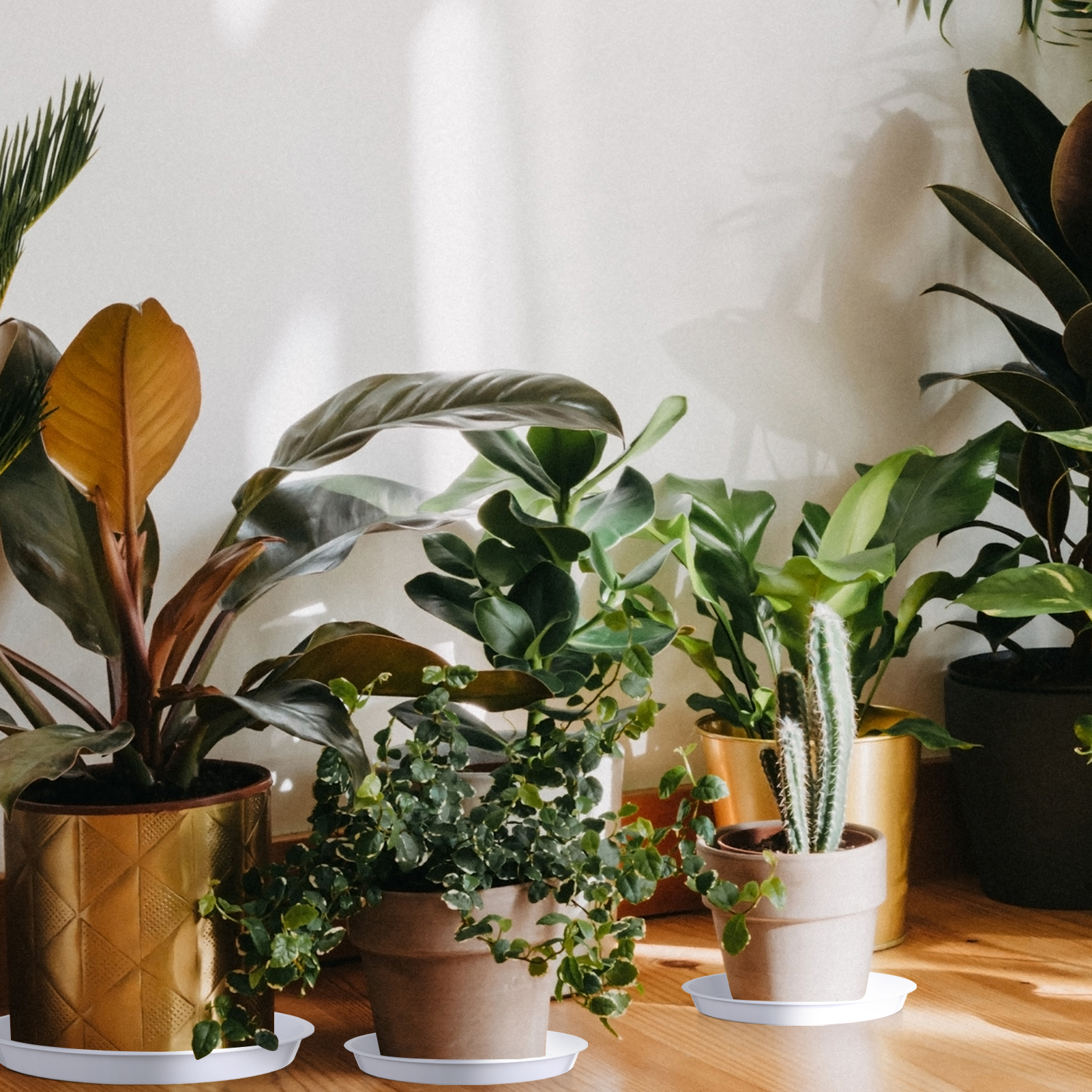 topjuju 15 Pcs Large Plant Saucers, 10/12/14 inches Plastic Plant Trays to Catch Water, Extra Large Plant Saucer with Labels, Heavy Duty Plant Drip Trays for Plant Pots Indoors Outdoors