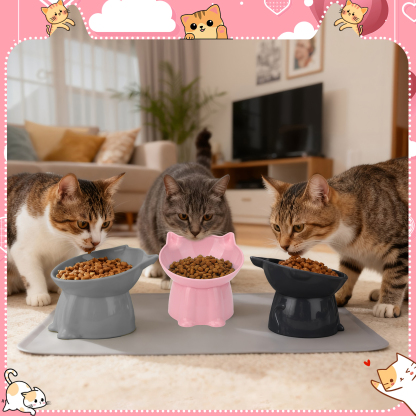 shuaien 3 Pcs Elevated Cat Bowls with Non-Slip Mat, 15 Degree Tilted Cat Food Bowls, Anti Vomit & Whisker Friendly Dishes 3 Raised Pet Bowls for Cats and Small Dogs