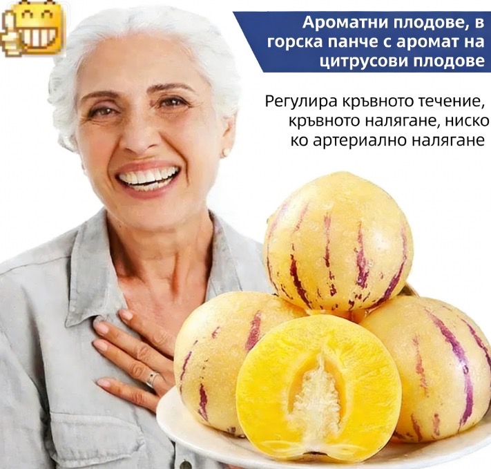 🎁 30% отстъпка 🍐🍐 Семена от пепино (крушов пъпеш)