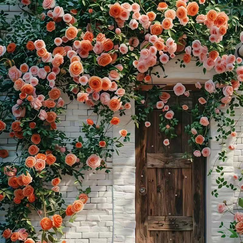 Climbing Rose Vine Seeds - Amazing Growth and Beautiful Roses