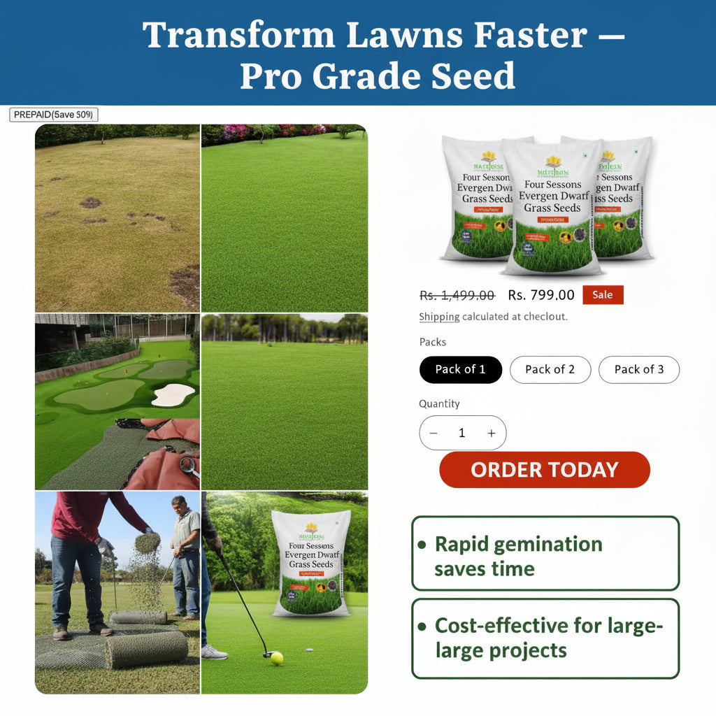 Семена за вечнозелена трева джудже Four Seasons