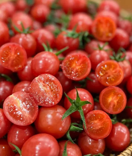 🍅 🍅 Семена от саксийни домати джудже