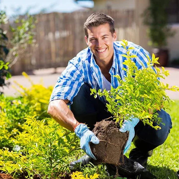 🔥Seasonal Promotion🔥-Soil Pro Activator