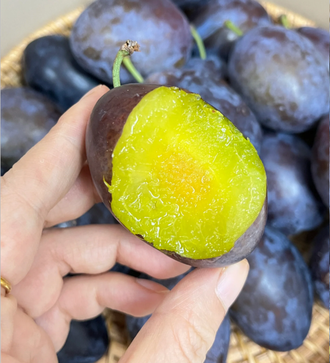 🌳Семена от сини сливи Дамасцена