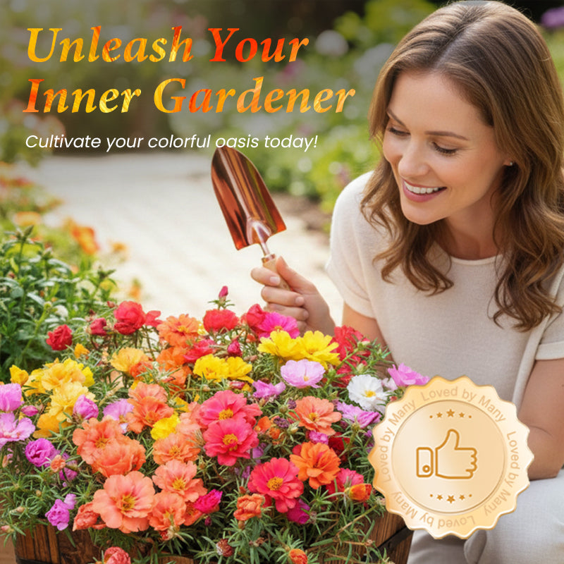 🌹Смесени цветни семена от двуцветна мъхова роза