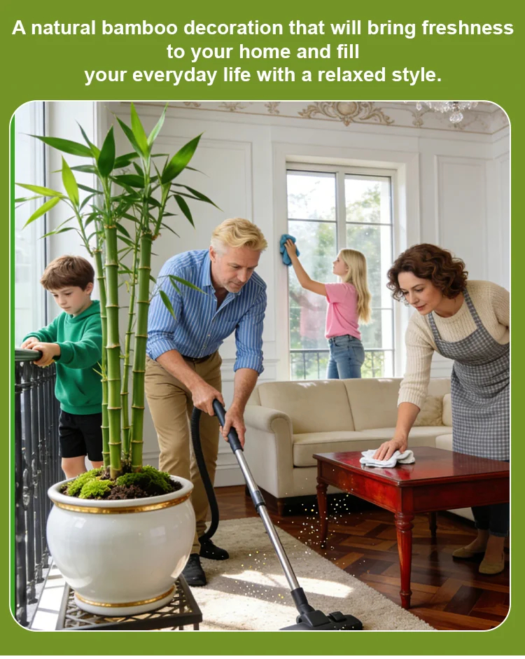 Студоустойчиви и сухоустойчиви зелени бамбукови семена за пречистване на въздуха