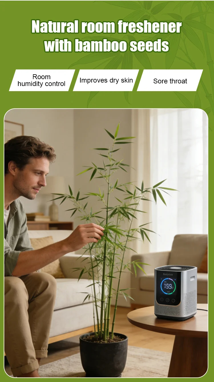 Студоустойчиви и сухоустойчиви зелени бамбукови семена за пречистване на въздуха