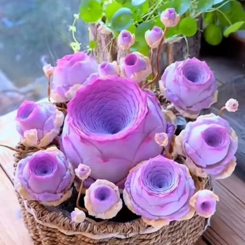 🌱🌹Планинска роза: Красота, която никога не увяхва, дори за начинаещи в света на острието!🌺