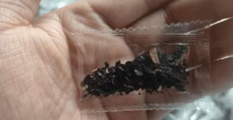 🌟Hosta/Coleus Seeds