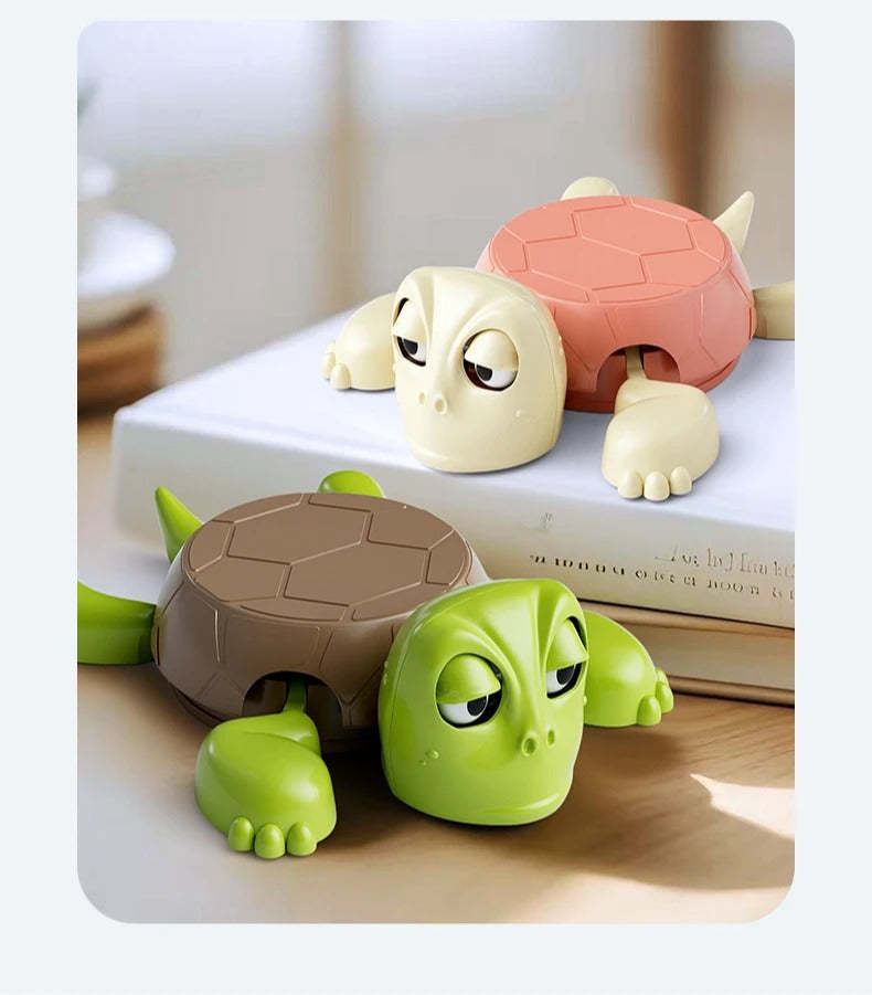 Wacky Turtle Coaster