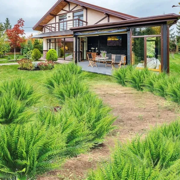 🔥 €10,00 Ограничена оферта във времето 🌱 UV-устойчива изкуствена бостънска папрат, реалистична